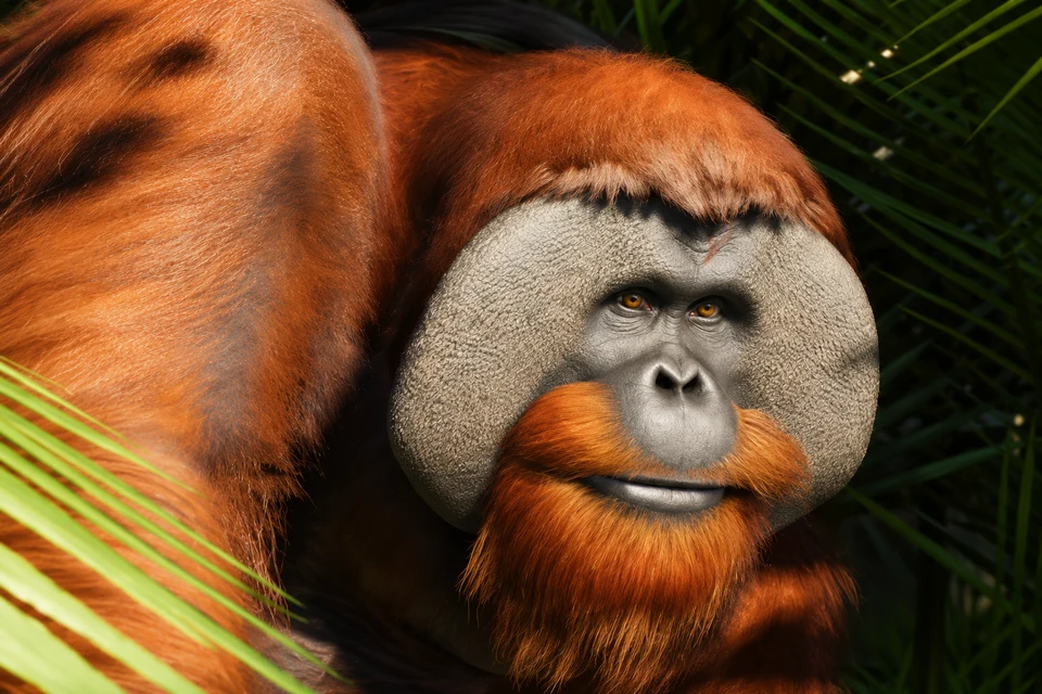 AI-edited view: A Sumatran orangutan among tropical leaves