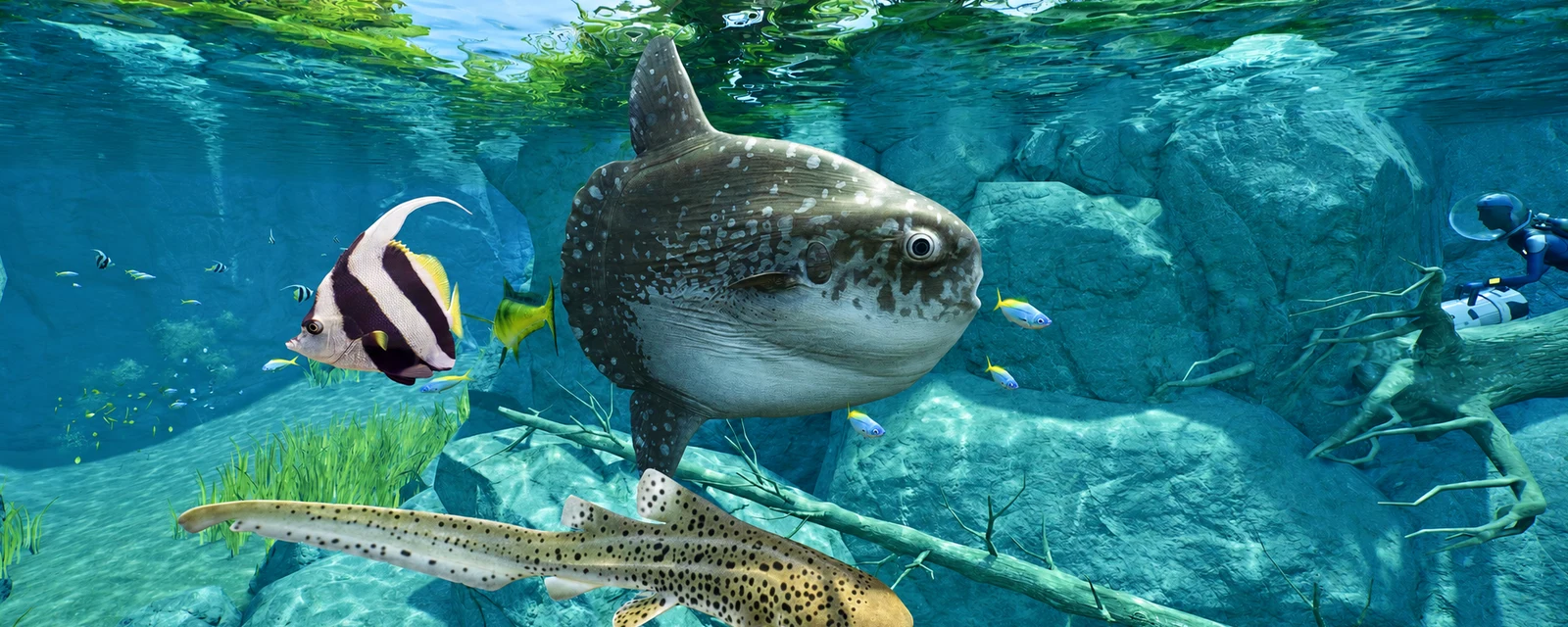 AI-edited view: An ocean sunfish among colourful aquarium fish