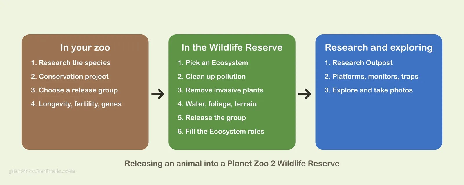 Diagram of the three stages of releasing an animal in Planet Zoo 2: in your zoo, in the Wildlife Reserve, and research and exploring, each with its steps
